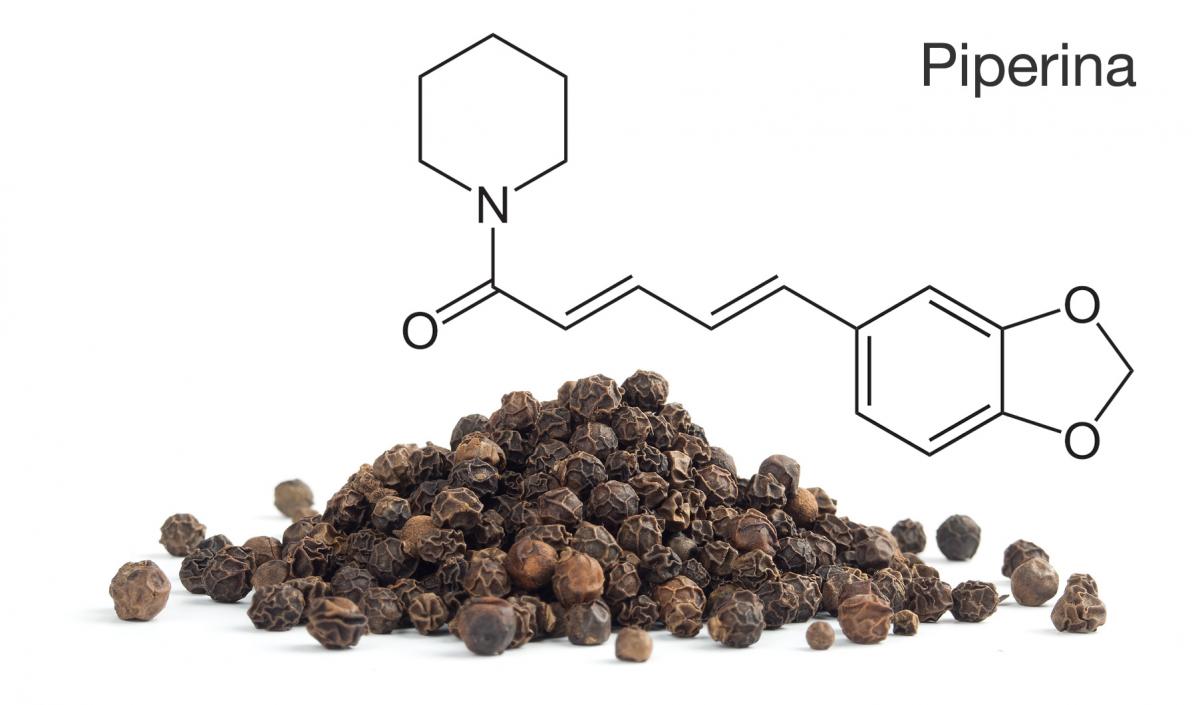 piperina